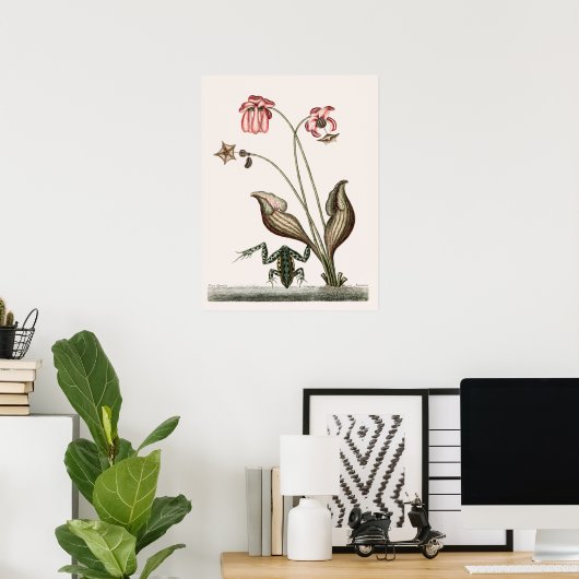 Vintage Frog-Illustration Poster (Heimbüro)