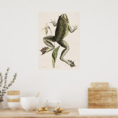 Vintage Frog-Illustration Poster (Küche)