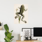 Vintage Frog-Illustration Poster (Heimbüro)
