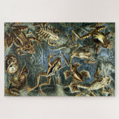 Vintage Frogs von Ernst Haeckel Puzzle (Horizontal)