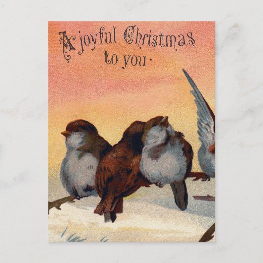 Vintage frohe Weihnachtsvögel Feiertagspostkarte (Vorderseite)