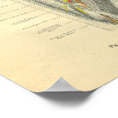 Vintage Frohse Anatomy of Arm & Shoulder Poster (Ecke)