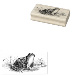 Vintage Frosch-Kautschuk-Briefmarke Gummistempel