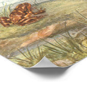 Vintage-Froschanatomieposter Poster (Ecke)