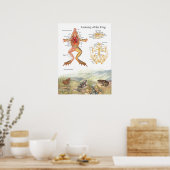 Vintage-Froschanatomieposter Poster (Küche)