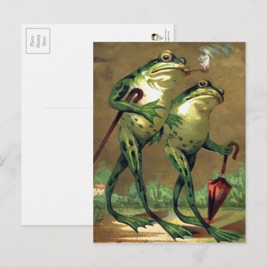 Vintage Frösche Postkarte (Vorne/Hinten)