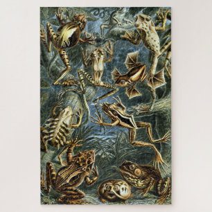 Vintage Frösche von Ernst Haeckel Puzzle