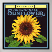 Vintage-Fruchkisten-Etikettenkunst Orangedale Sonn Poster (Vorne)