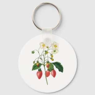 Vintage-Frucht-Beeren-Lebensmittel-Erdbeeren von R Schlüsselanhänger