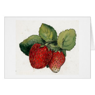 Vintage Frucht - Erdbeeren,