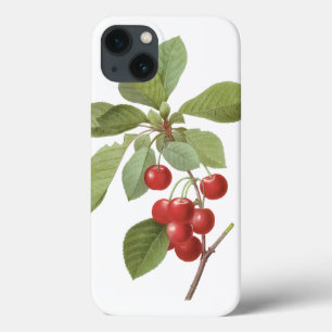 Vintage Frucht Kirsche Lebensmittel, Kirschen von  Case-Mate iPhone Hülle