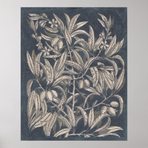 Vintage Frucht u. Blumeni Poster