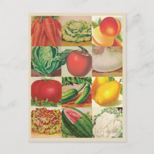 Vintage-Frucht- und Gemüseillustrationen Postkarte