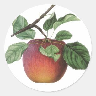 Vintage-Fruchtaufkleber Runder Aufkleber