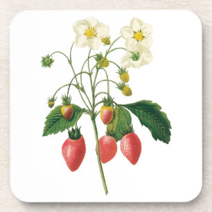 Vintage-Früchte-Beeren-Lebensmittel-Erdbeeren von  Untersetzer