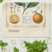 Vintage FruchtIllustration Orange Botanische Kunst Geschirrtuch (Gefaltet)