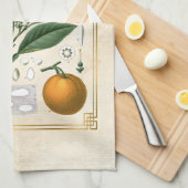 Vintage FruchtIllustration Orange Botanische Kunst Geschirrtuch (Viertel Falte)