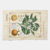 Vintage FruchtIllustration Orange Botanische Kunst Geschirrtuch (Horizontal)