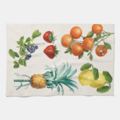 Vintage-Fruchtillustrationen Geschirrtuch (Horizontal)