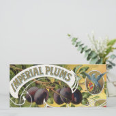Vintage Fruchtkäse (Stehend Vorderseite)