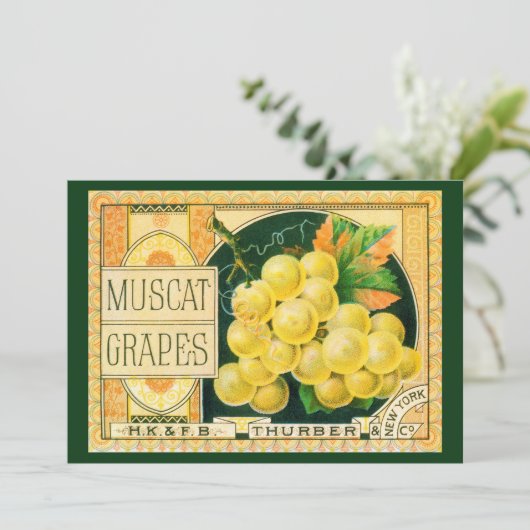 Vintage Fruchtkäse (Stehend Vorderseite)