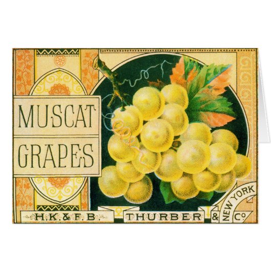 Vintage Fruchtkäse (Vorderseite (Horizontal))