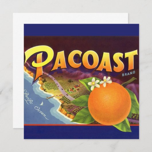 Vintage Fruchtkäse (Vorne/Hinten)