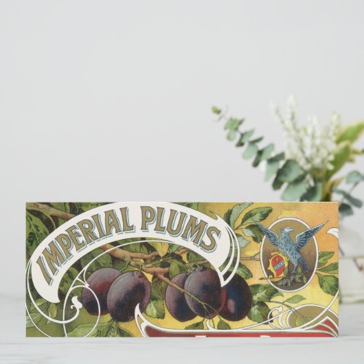 Vintage Fruchtkäse (Stehend Vorderseite)