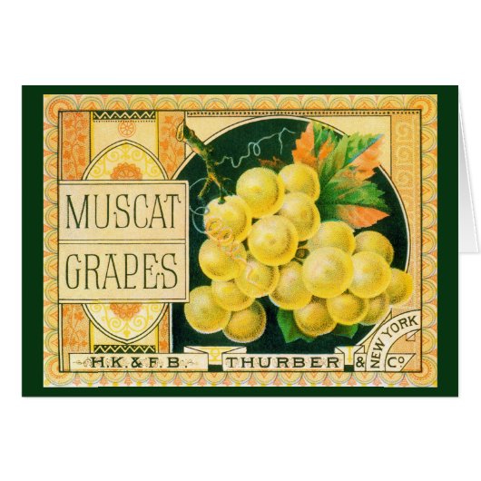 Vintage Fruchtkäse (Vorderseite (Horizontal))