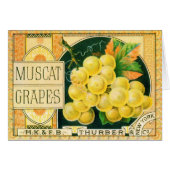 Vintage Fruchtkäse (Vorderseite (Horizontal))