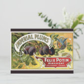 Vintage Fruchtkäse (Stehend Vorderseite)