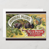 Vintage Fruchtkäse (Vorne/Hinten)