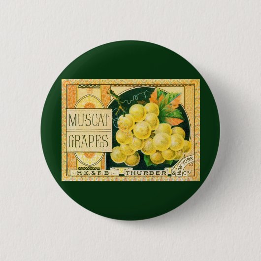 Vintage Fruchtkäse Button (Vorderseite)