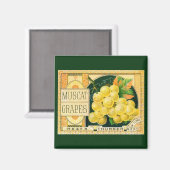 Vintage Fruchtkäse Magnet (Vorderseite/Rückseite)