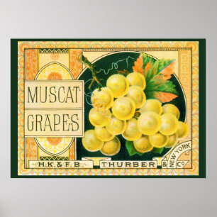 Vintage Fruchtkäse Poster