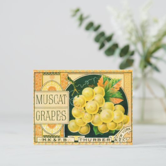 Vintage Fruchtkäse Postkarte (Stehend Vorderseite)