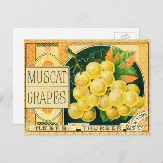 Vintage Fruchtkäse Postkarte (Vorne/Hinten)