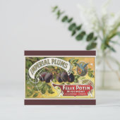 Vintage Fruchtkäse Postkarte (Stehend Vorderseite)