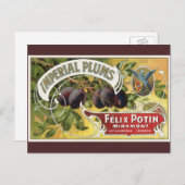 Vintage Fruchtkäse Postkarte (Vorne/Hinten)