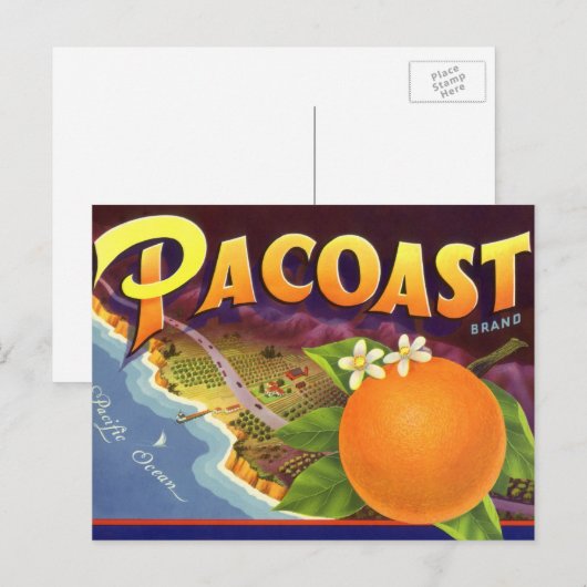 Vintage Fruchtkäse Postkarte (Vorne/Hinten)