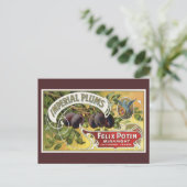 Vintage Fruchtkäse Postkarte (Stehend Vorderseite)