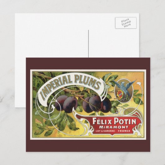 Vintage Fruchtkäse Postkarte (Vorne/Hinten)