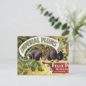 Vintage Fruchtkäse Postkarte (Stehend Vorderseite)