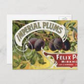 Vintage Fruchtkäse Postkarte (Vorne/Hinten)