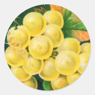 Vintage Fruchtkäse Runder Aufkleber