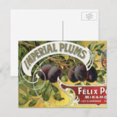 Vintage-Fruchtkisten-Etikettenkunst, Imperial Pfla Postkarte (Vorne/Hinten)