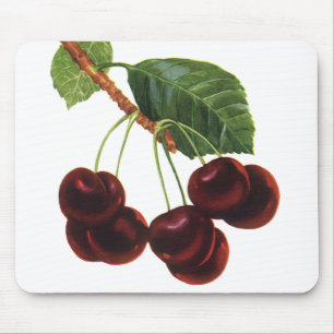 Vintage-Fruchtlebensmittel, reife Kirschen von ein Mousepad