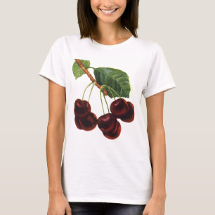 Vintage-Fruchtlebensmittel, reife Kirschen von ein T-Shirt