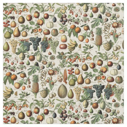 Vintage-Fruchtmuster von Adolphe Millot Stoff (Nahaufnahme)