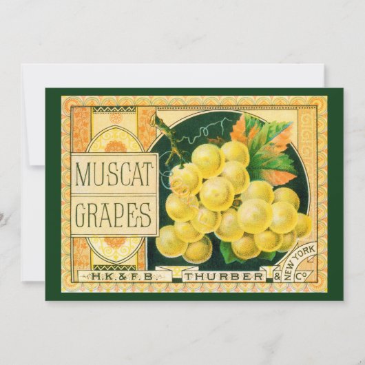 Vintage-Fruchtschachtel-Etikettenkunst, Muskat-Tra (Vorderseite)
